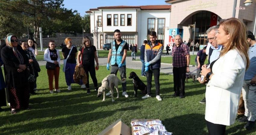 Safranbolu Belediyesi Dünya Hayvanları Koruma Günü’nde hayvanlar için mama üretim