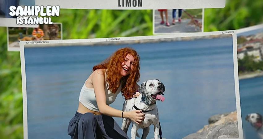 İstanbul Büyükşehir Belediyesi (İBB)  İstanbul Gönüllüleri iş birliğiyle akıllı