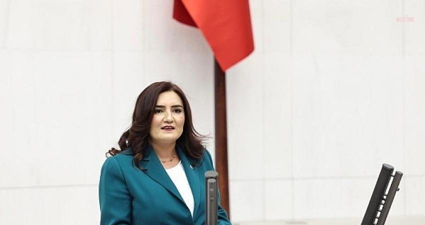 CHP İzmir Milletvekili ve TBMM Anayasa Komisyonu Üyesi Sevda Erdan
