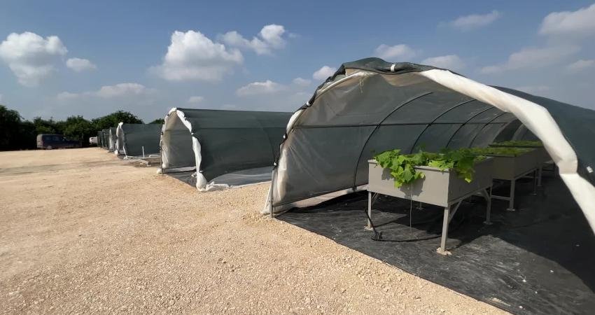 Seyhan Belediyesi, Hollanda Belediyeler Birliği tarafından sağlanan “Giro 555 Afet Destek