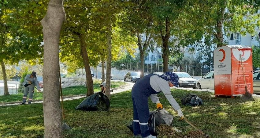 Söke Belediyesi Saha Ekipleri, Söke’yi güzelleştirmek ve daha yaşanılır hale