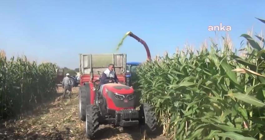 Manisa'nın Soma ilçesine bağlı Hatun Mahallesi'nde hayvancılık yapan baba ve