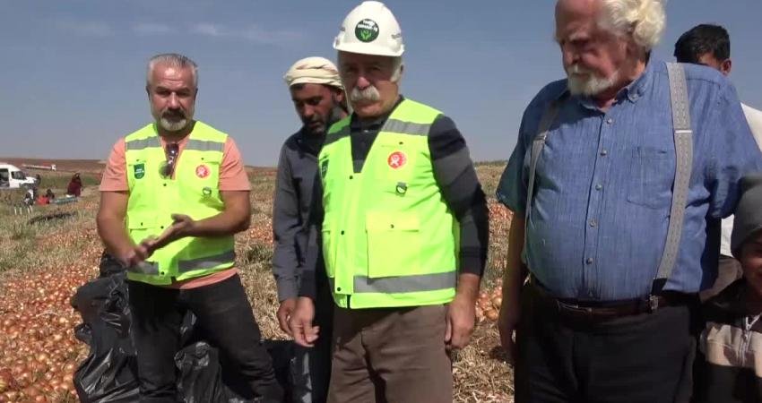 Tarım Orman-İş Sendikası yöneticileri, Şereflikoçhisar’da soğan hasadında çalışan mevsimlik tarım işçilerini