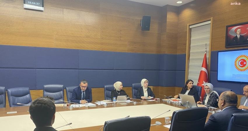 TBMM İnsan Haklarını İnceleme Komisyonu Çocuk Hakları Alt Komisyonu’nda, Yeşil