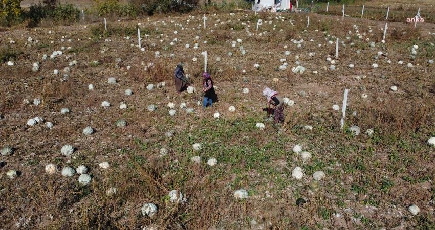 Tepebaşı Belediyesi Kadın Üretici Ürün Satış Noktası projesine katılan kırsal