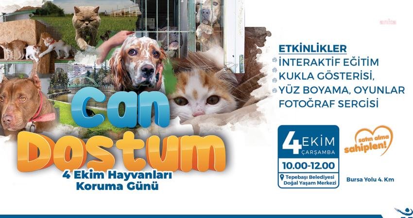 Tepebaşı Belediyesi tarafından 4 Ekim Hayvanları Koruma Günü’nde çocuklara yönelik