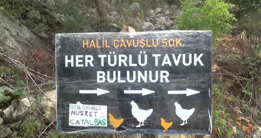 Kahramanmaraş’ın Andırın ilçesinde tavuk besleyip yumurtasını satarak geçinen Nusret Çatalbaş,