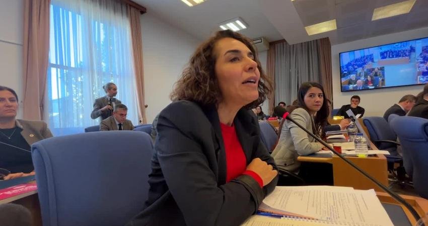 HEDEP Diyarbakır Milletvekili Adalet Kaya, Aile ve Sosyal Hizmetler Bakanlığı'nın