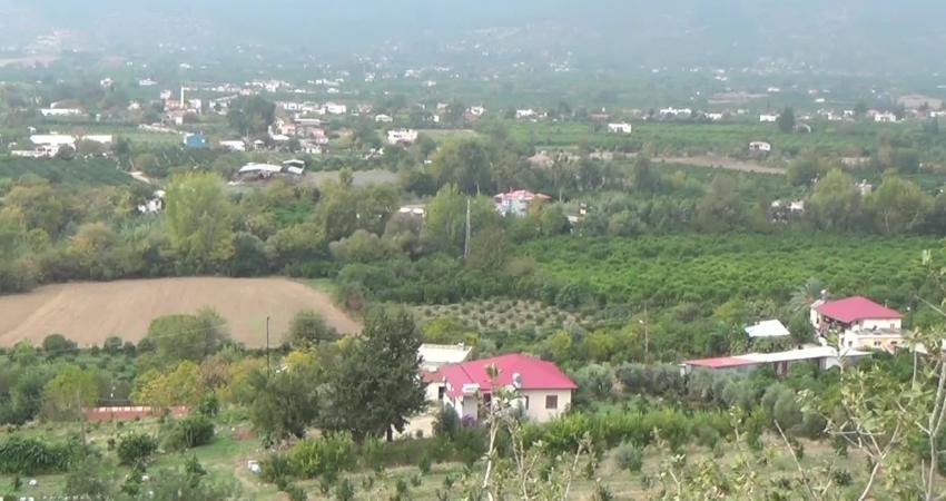 Adana'nın Kozan ilçesinde üretici, limonun dalında kaldığını ve bugüne kadar