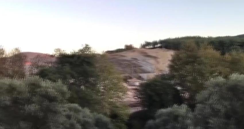 Muğla’nın Milas ilçesinde İkizköylülerin mücadelesine rağmen kesilen Akbelen Ormanı'nda maden