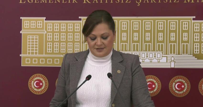 CHP Grup Başkanvekili Burcu Köksal, TBMM Plan ve Bütçe Komisyonu'nda