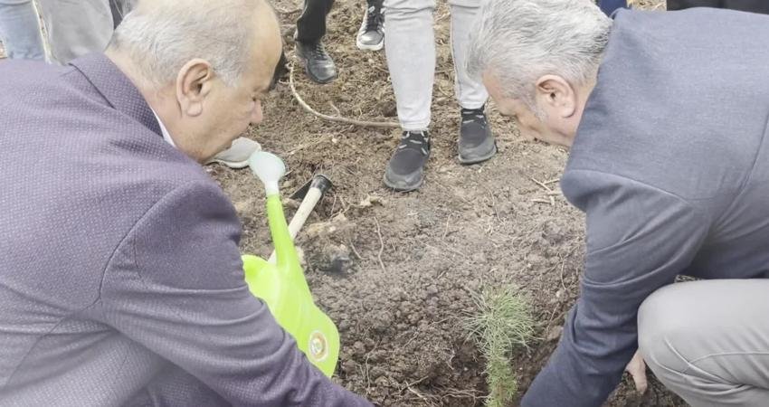 CHP Bursa İl Başkanlığı, 11 Kasım Milli Ağaçlandırma Günü nedeniyle