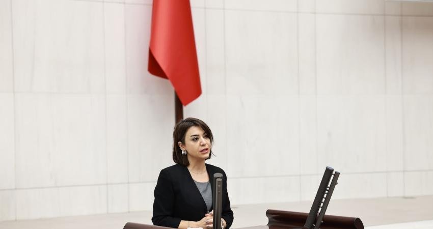 CHP Genel Başkan Yardımcısı Gamze Taşcıer, Çalışma ve Sosyal Güvenlik