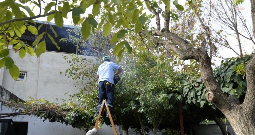İlçeye kazandırdığı sosyal tesislerle vatandaşların rahatça vakit geçirmelerini sağlayan Çine