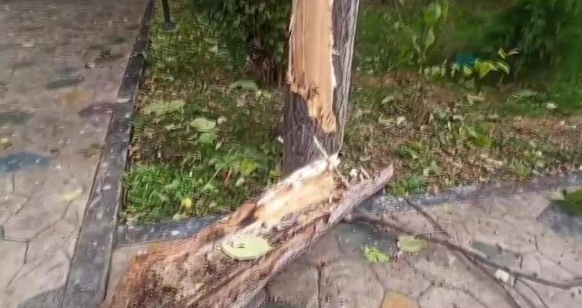 Çorum'da şiddetli rüzgar nedeniyle ağaçlar devrildi, bir binanın çatısındaki aydınlatma