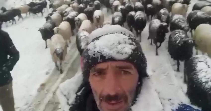 Artvin’in Ardanuç ilçesi Geçitli köyünde hayvancılık yapan Ümit Güllü, köyüne