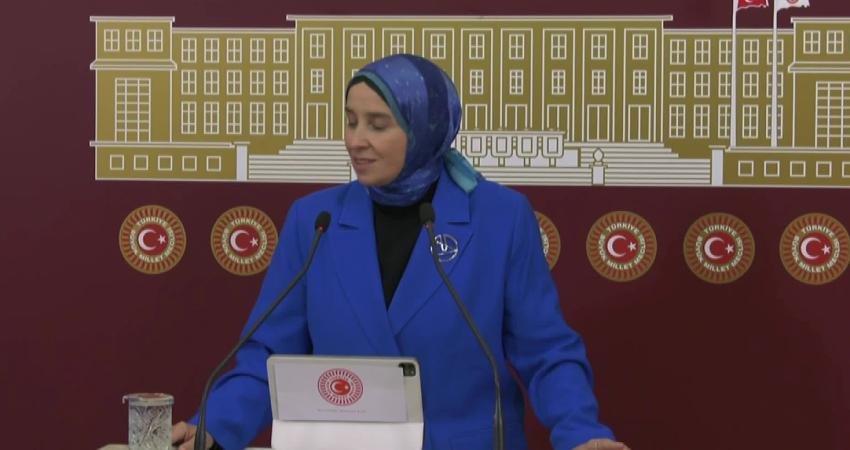 Demokrasi ve Atılım (DEVA) Partisi Genel Başkan Yardımcısı Elif Esen,