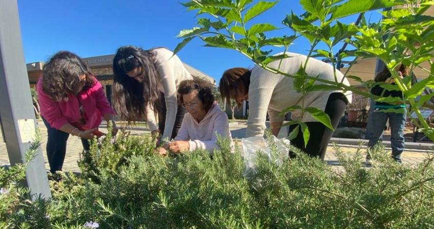 Efes Tarlası Yaşam Köyü’nde düzenlenen Tıbbi ve Aromatik Bitki Yetiştiriciliği