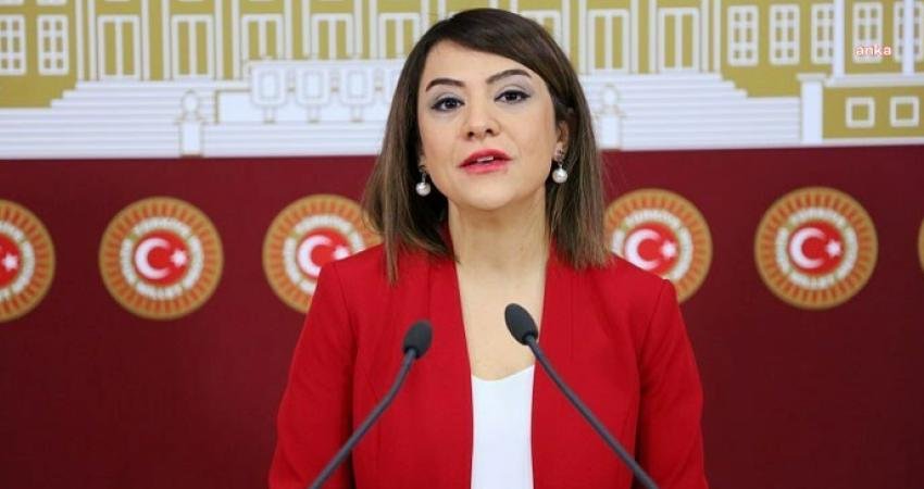 CHP Genel Başkan Yardımcısı ve Gölge Kabine Çalışma ve Sosyal