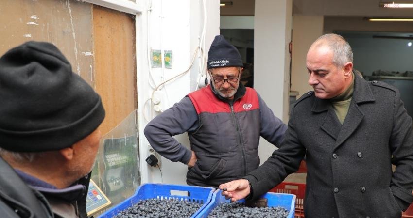 Gemlik Belediye Başkanı Mehmet Uğur Sertaslan, çiftçilere desteğini sürdürüyor. Zeytinde