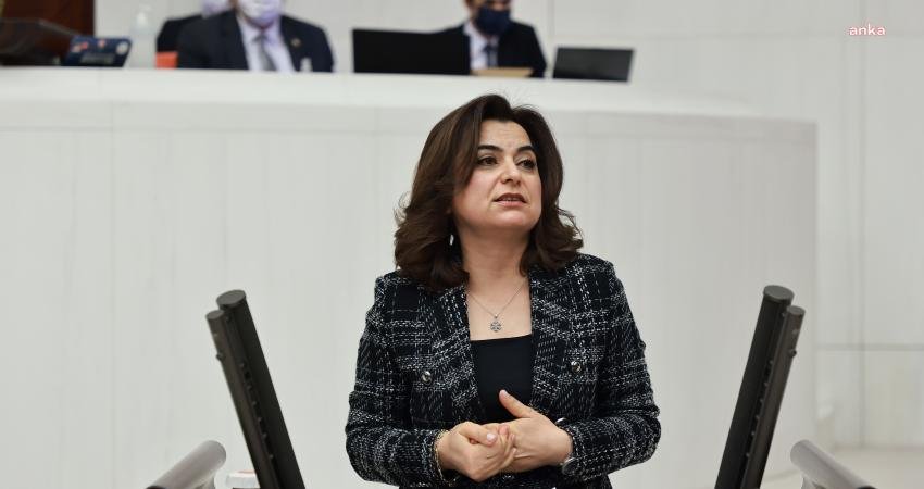 HEDEP Kars Milletvekili Gülüstan Kılıç Koçyiğit, TBMM Plan ve Bütçe