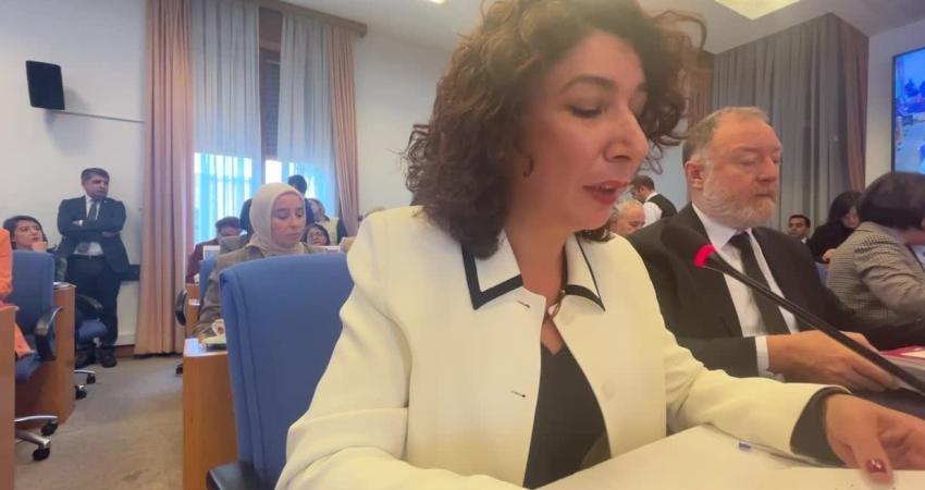 HEDEP Diyarbakır Milletvekili Halide Türkoğlu, Aile ve Sosyal Hizmetler Bakanlığı'nın