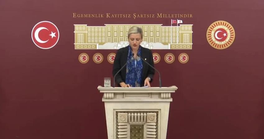 HEDEP Mersin Milletvekili Perihan Koca, “nitelikli cinsel saldırı” suçlamasıyla yargılanan