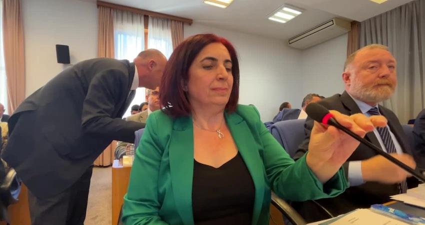 HEDEP Diyarbakır Milletvekili Sevilay Çelenk, TBMM Plan ve Bütçe Komisyonu'nda