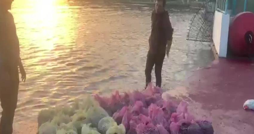 İstanbul Emniyet Müdürlüğü Deniz Liman Şube Müdürlüğü ekipleri, Kadıköy ilçesi