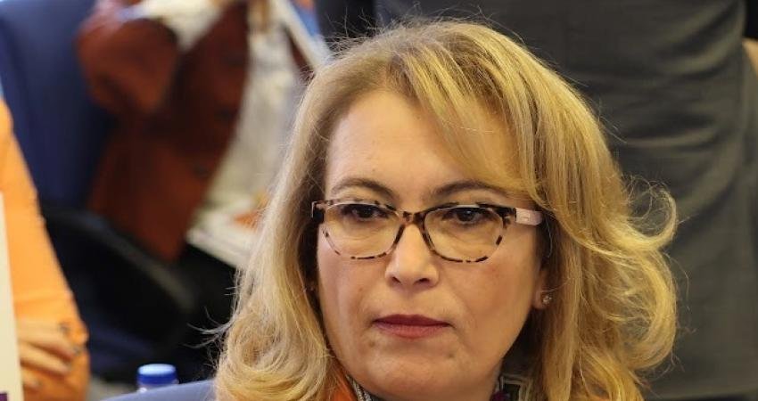 İYİ Parti İstanbul Milletvekili Ayşe Sibel Yanıkömeroğlu, Aile ve Sosyal