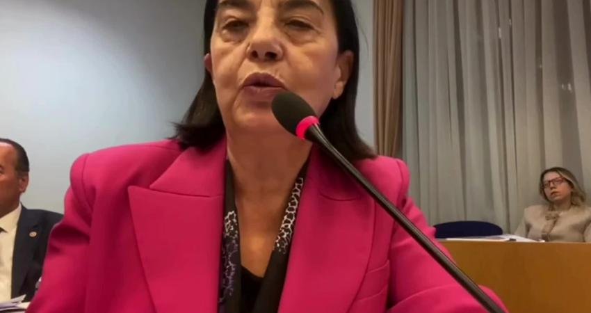 CHP Eskişehir Milletvekili Jale Nur Süllü, TBMM Plan ve Bütçe