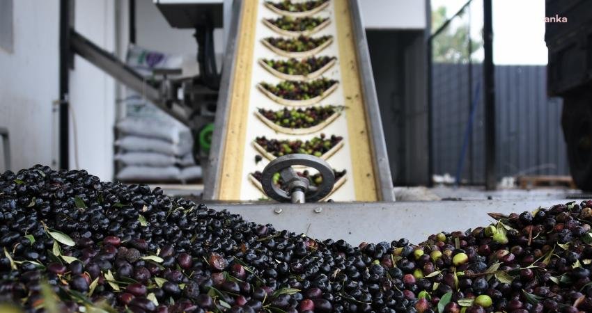 Kemalpaşa Zeytinyağı Fabrikası’nda İlk Sıkım Heyecanı Kemalpaşa Belediyesi’nin geçtiğimiz yıl faaliyete geçirdiği Kem-Bel Zeytinyağı Fabrikası’nda, zeytinyağı