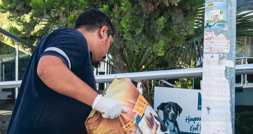 Kuşadası Belediyesi, sokak hayvanlarının beslenme ve su ihtiyaçlarını sağlamaya yönelik çalışmalarını aralıksız