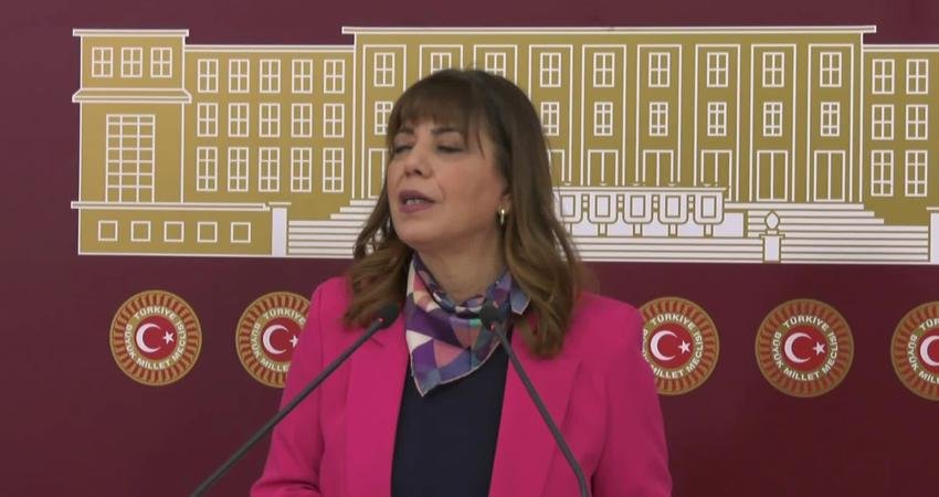 HEDEP Grup Başkanvekili Meral Danış Beştaş, "En fazla hayal satılan