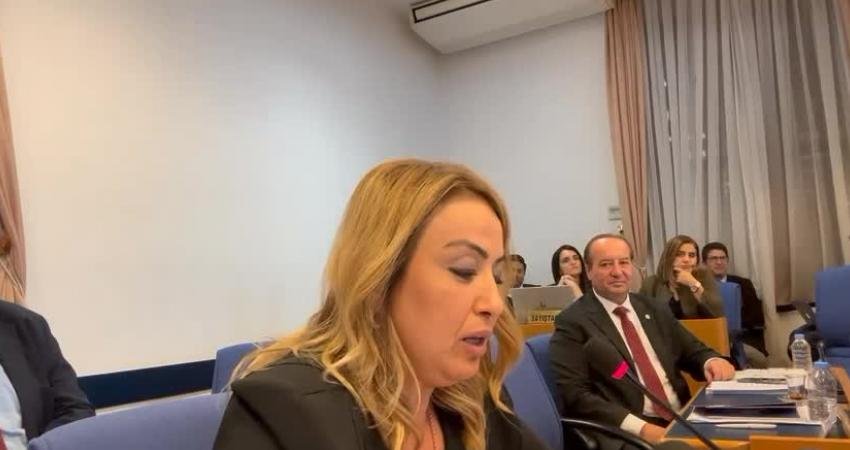 CHP Hatay Milletvekili Nermin Yıldırım Kara, TBMM Plan ve Bütçe