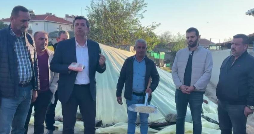 Eski CHP Edirne Milletvekili Okan Gaytancıoğlu, üreticinin ürettiği preveze çeltik