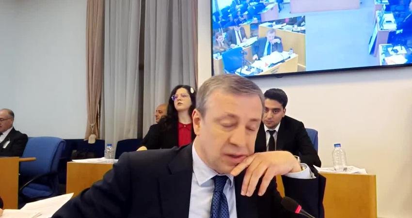 CHP İzmir Milletvekili Rahmi Aşkın Türeli, TBMM Plan ve Bütçe