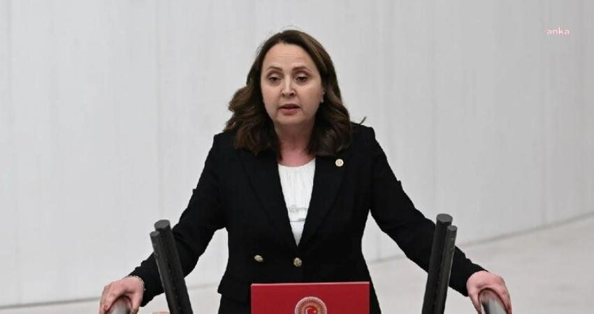 CHP Ankara Milletvekili Semra Dinçer, 2022 yılında ithal edilen plastik
