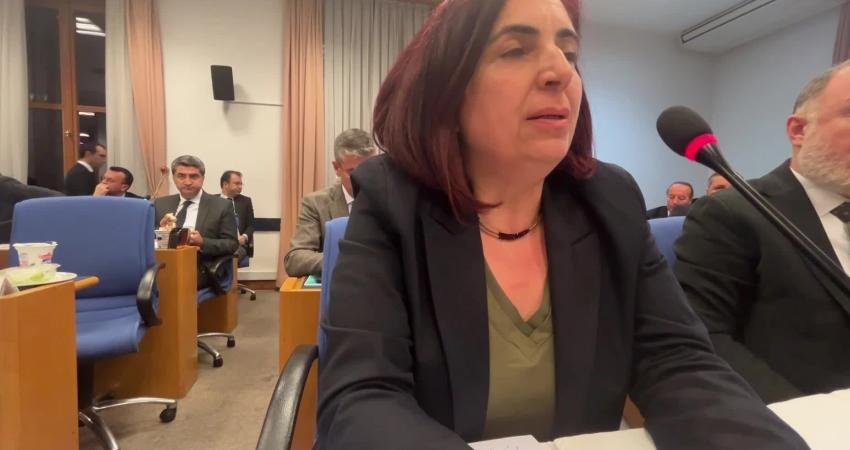 HEDEP Diyarbakır Milletvekili Sevilay Çelenk, dün TBMM Plan ve Bütçe