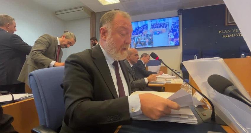 HEDEP Muş Milletvekili Sezai Temelli, TBMM Plan ve Bütçe Komisyonu'nda