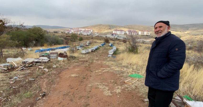 Arı ölümlerinin, mevsim değişikliğine bağlı ve arıların bakımlarının zamanında yapılmamasından