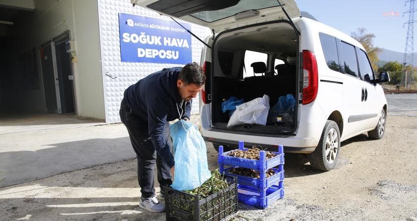 Antalya Büyükşehir Belediyesi, Finike’de atıl durumdaki binayı soğuk hava deposuna