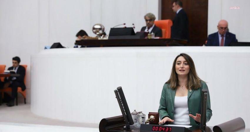 CHP Bartın Milletvekili Aysu Bankoğlu, “Engelli aylığı ülkenin bir utanç