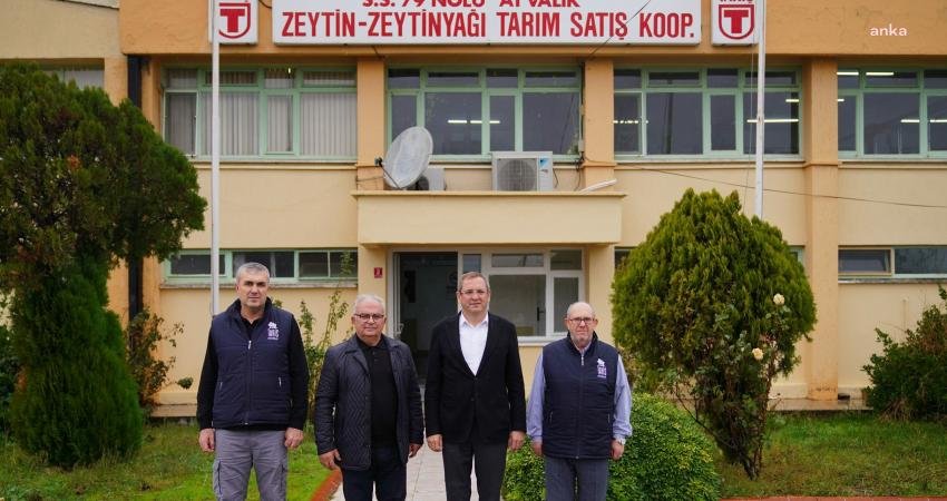 Ayvalık Belediye Başkanı Mesut Ergin belediyenin kontrolünde olmayan, zeytin ağaçlarının