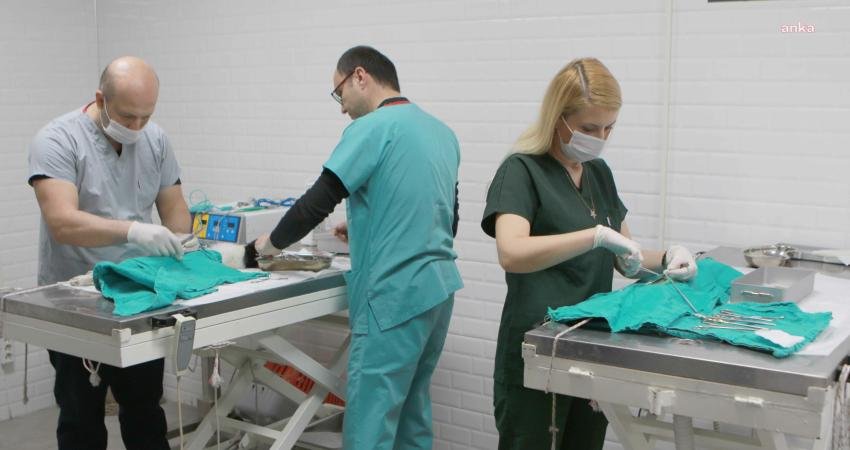Bayraklı Belediyesi 4,5 yılda 19 bin 945 sokak hayvanına sağlık
