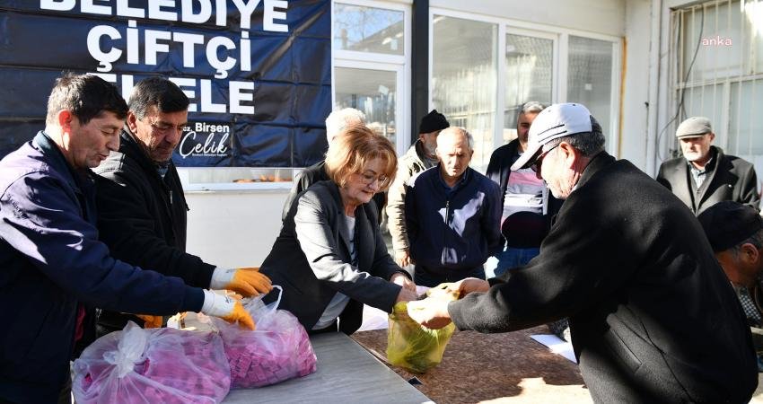 Bozkurt Belediyesi, ilçede tarımsal üretimi tehdit eden tarla fareleriyle mücadele