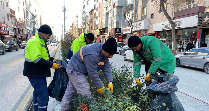Bozüyük Belediyesi tarafından yeşil alanlarda sürdürülen temizlik ve bakım çalışmaları