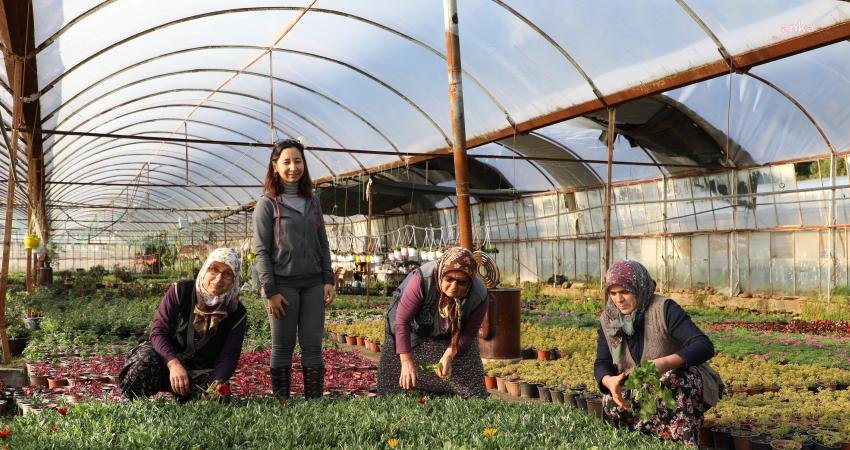 Muğla Büyükşehir Belediyesi Alım Garantili Çiçek üretimi ile 2023 yılında