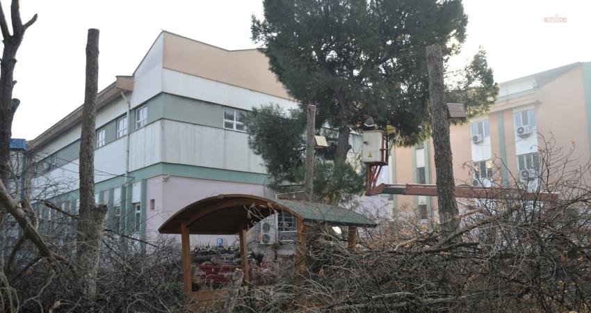 Çine Belediyesi Park ve Bahçeler Müdürlüğü ekipleri, görev ve sorumluluk