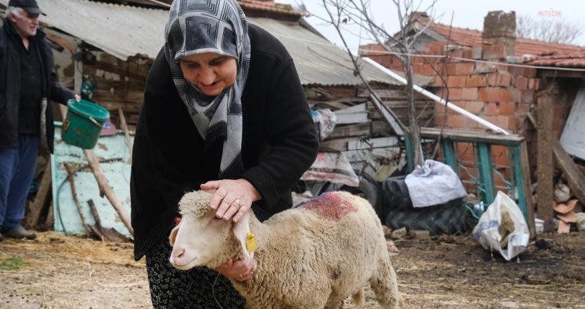 Eskişehir Büyükşehir Belediyesi’nin Alpu ilçesi ve mahallelerinde faaliyet gösteren küçük